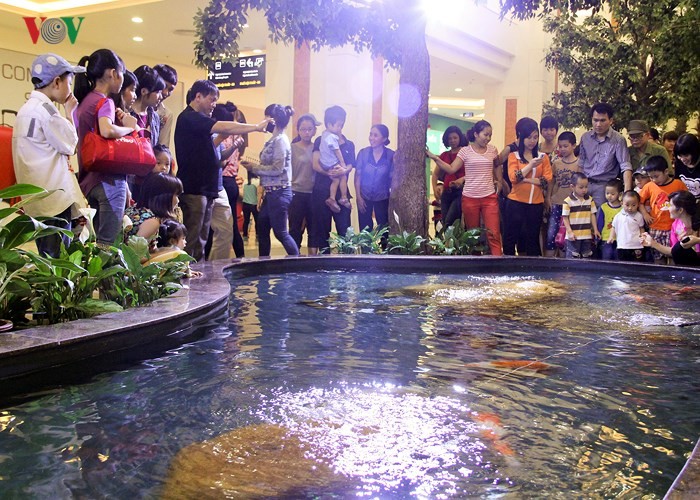 Muôn vẻ 'trốn nóng' của người dân Hà Nội những ngày nắng gắt ảnh 11