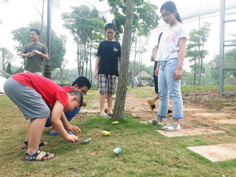 Tưng bừng Tết thiếu nhi tại chuỗi FLC Hotel & Resort ảnh 3