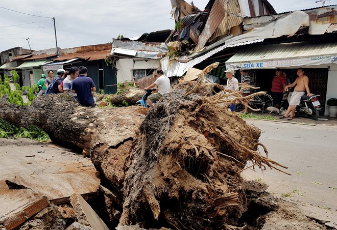 Cây cổ thụ bật gốc đè 3 căn nhà ở Sài Gòn, bé gái 13 tuổi bị thương ảnh 1