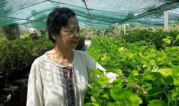 Cặp vợ chồng ‘nặng lòng’ với dược liệu quý ảnh 1