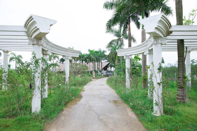 Hà Nội sắp có công viên hoa hồng rộng 22ha ảnh 1