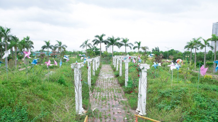 Hà Nội sắp có công viên hoa hồng rộng 22ha ảnh 4