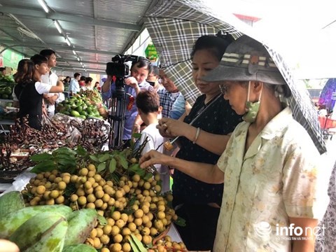 Người Hà Nội đội mưa đi mua nhãn Sơn La ảnh 2