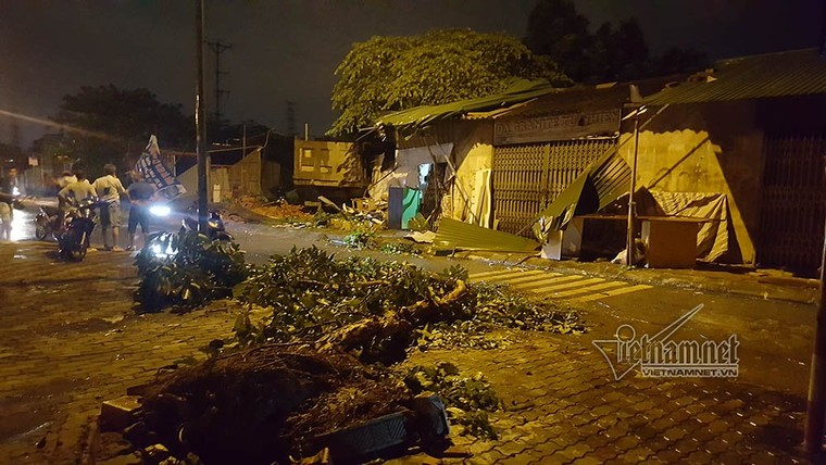 Xe tải đâm đổ cả cây, cột điện lẫn tường nhà trong đêm ảnh 1