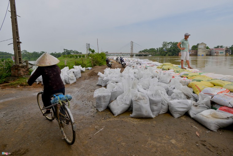 Bí thư Hà Nội lội nước thăm người dân vùng ngập ảnh 7