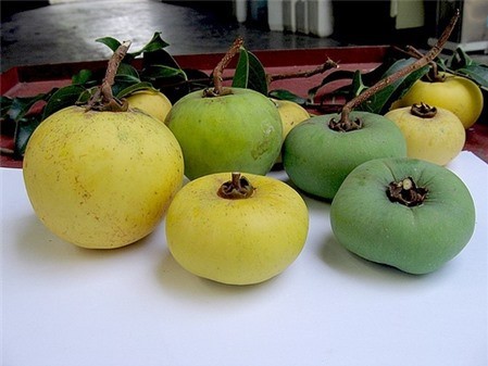 Những lợi ích không ngờ của quả thị ảnh 6