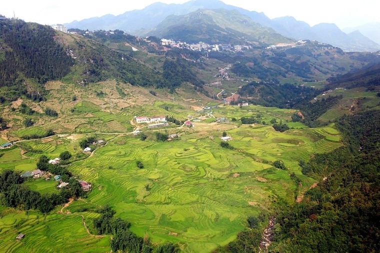 Mùa thu về, lên ngay Fansipan ngắm ruộng bậc thang đã nức thơm hương lúa ảnh 2