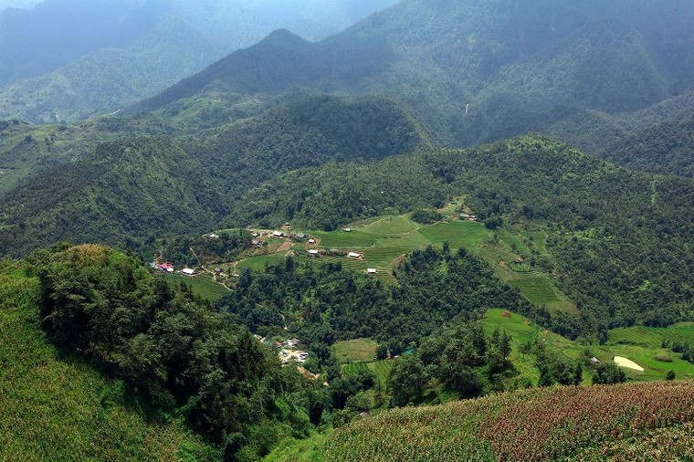 Mùa thu về, lên ngay Fansipan ngắm ruộng bậc thang đã nức thơm hương lúa ảnh 4