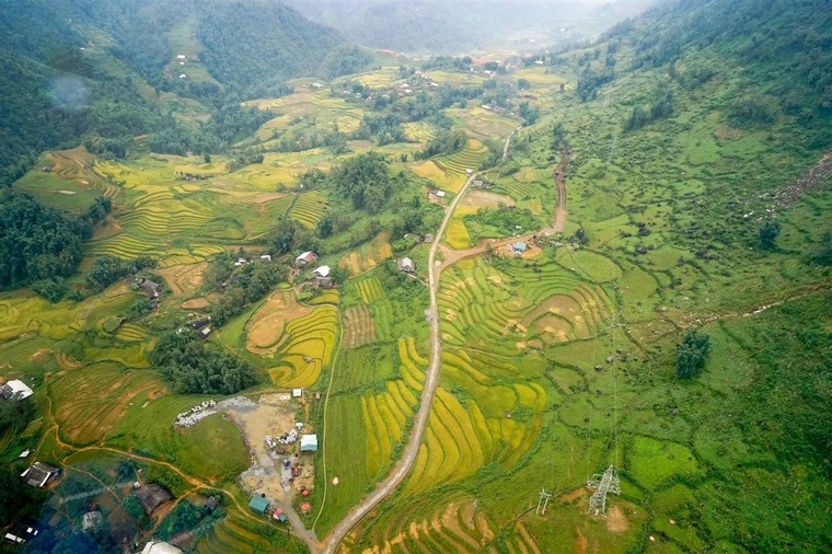 Fansipan mùa lúa chín đẹp ngỡ ngàng ảnh 7