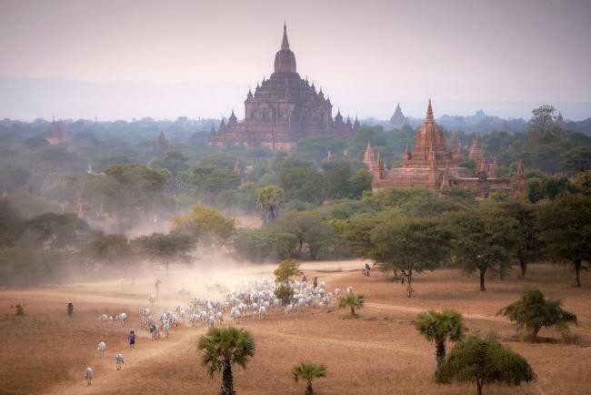 Khám phá những tác phẩm đoạt giải tại Cuộc thi Nhiếp ảnh 'Góc nhìn của người trẻ về Con đường Tơ lụa' ảnh 4