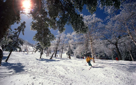 'Bỏ túi' kinh nghiệm đi du lịch một mình an toàn, tiết kiệm và bổ ích ảnh 1