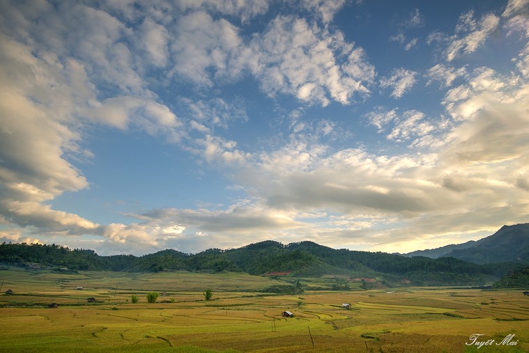 Quên lối về giữa miền sơn cước Mù Căng Chải rực màu nắng ảnh 6