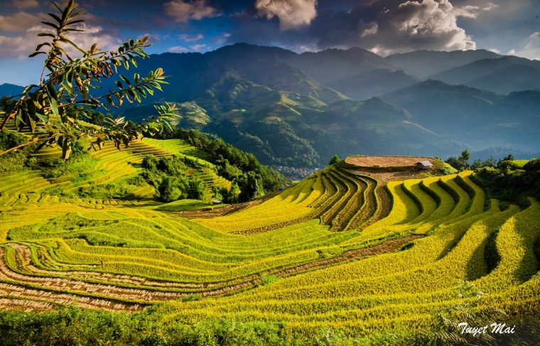 Quên lối về giữa miền sơn cước Mù Căng Chải rực màu nắng ảnh 9