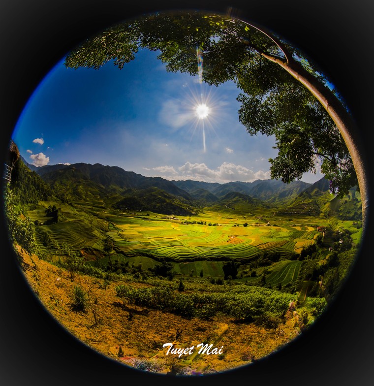 Quên lối về giữa miền sơn cước Mù Căng Chải rực màu nắng ảnh 10