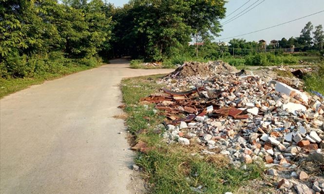 Cổ Loa bị xâm hại, chính quyền ở đâu? ảnh 1