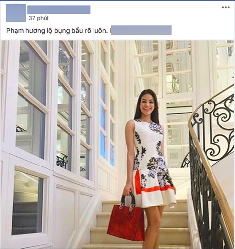 Thêm ảnh mới, lại rộ tin Phạm Hương sang Mỹ mang bầu ảnh 1