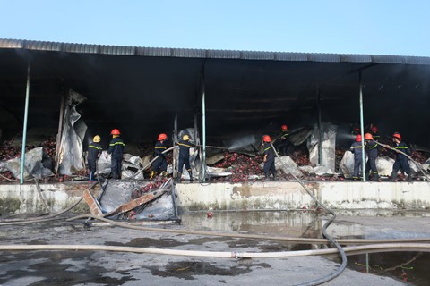 Cháy kho lạnh chứa 230 tấn thanh long xuất khẩu ảnh 1