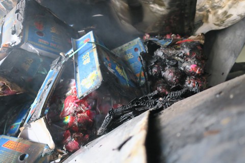 Cháy kho lạnh chứa 230 tấn thanh long xuất khẩu ảnh 2