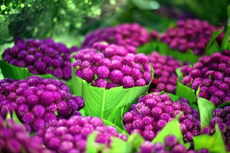 Chợ hoa đêm Quảng An nhộn nhịp trước thềm 20/10 ảnh 4