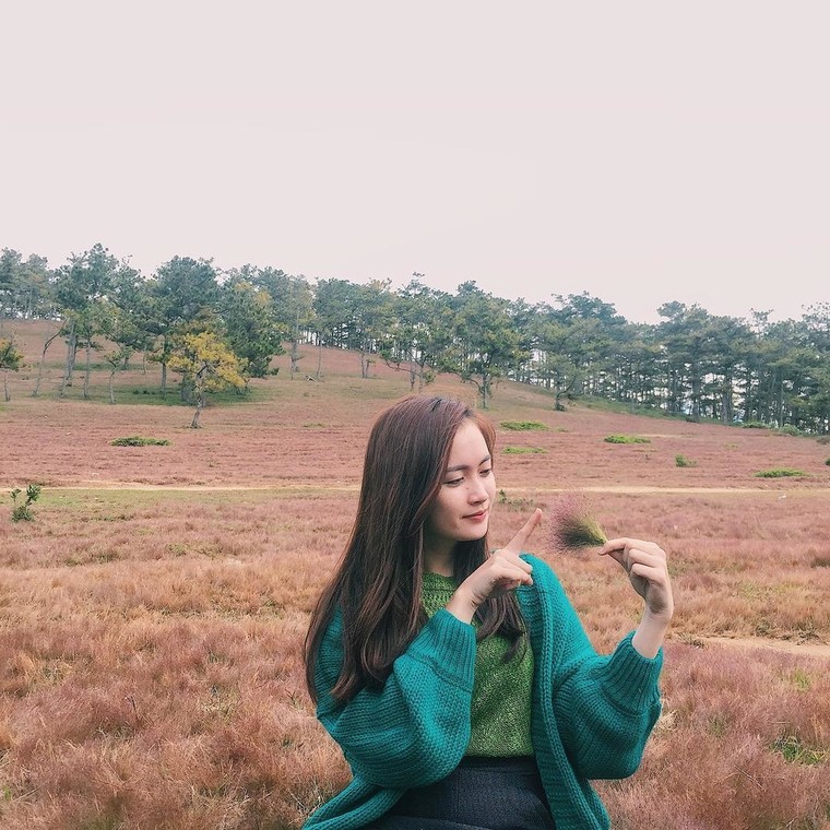 Hoa dã quỳ, đồi cỏ hồng mê mẩn giới trẻ tới Đà Lạt check-in ảnh 11