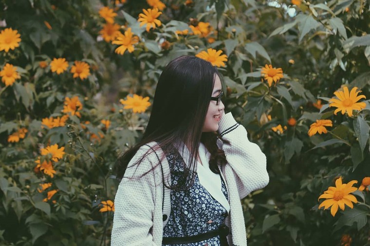 Hoa dã quỳ, đồi cỏ hồng mê mẩn giới trẻ tới Đà Lạt check-in ảnh 2