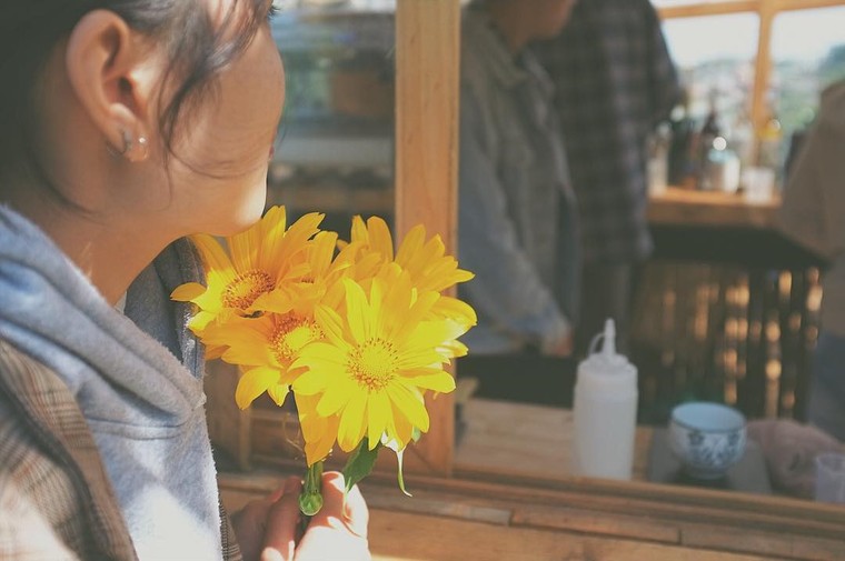 Hoa dã quỳ, đồi cỏ hồng mê mẩn giới trẻ tới Đà Lạt check-in ảnh 5