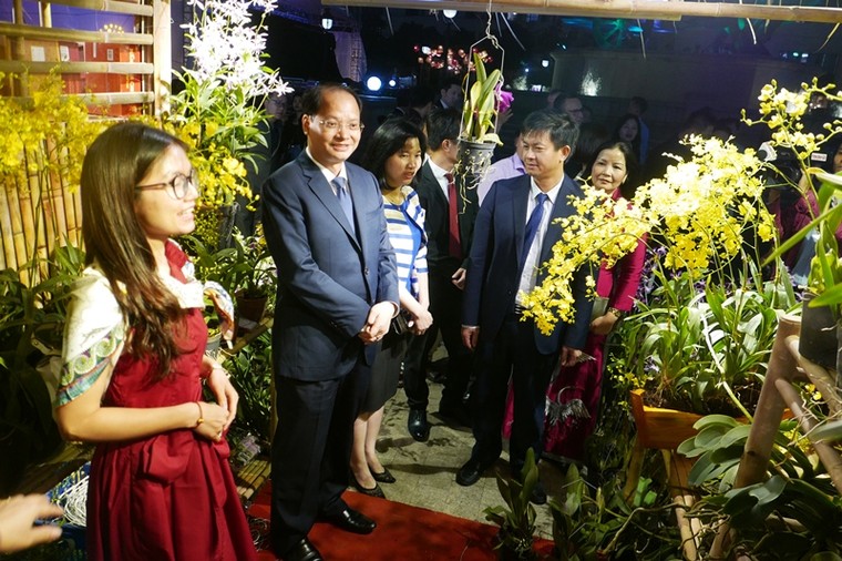 Hơn 300 gian hàng cùng tham gia Hội chợ “Đặc sản Vùng miền Việt Nam” và Triển lãm OVOP 2018 ảnh 2