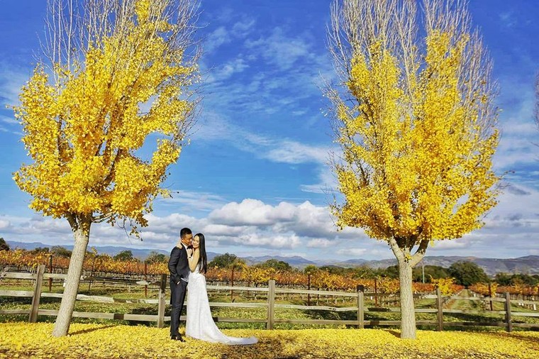 Tuấn Hưng tung ảnh 'cưới lần 2' ở Mỹ, dàn sao Việt bất ngờ lên tiếng ảnh 1