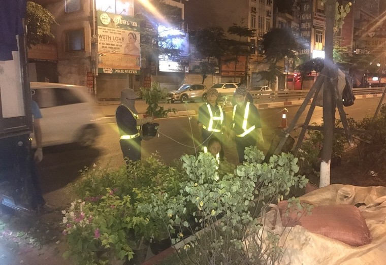 Hà Nội: Công nhân trồng hoa giữa đêm để... trốn nắng nóng ảnh 4