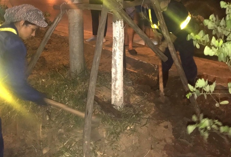 Hà Nội: Công nhân trồng hoa giữa đêm để... trốn nắng nóng ảnh 5