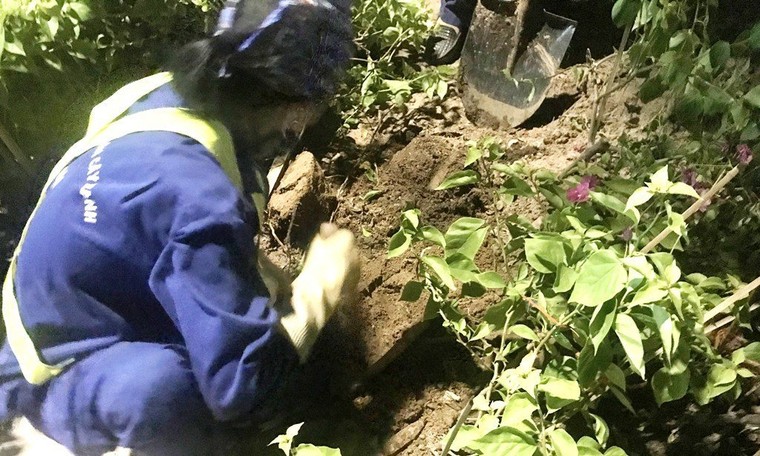 Hà Nội: Công nhân trồng hoa giữa đêm để... trốn nắng nóng ảnh 6