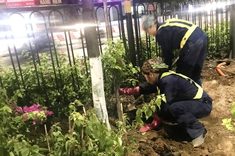 Hà Nội: Công nhân trồng hoa giữa đêm để... trốn nắng nóng ảnh 7