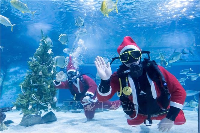 Thế giới chào đón Giáng sinh 2019 ảnh 10