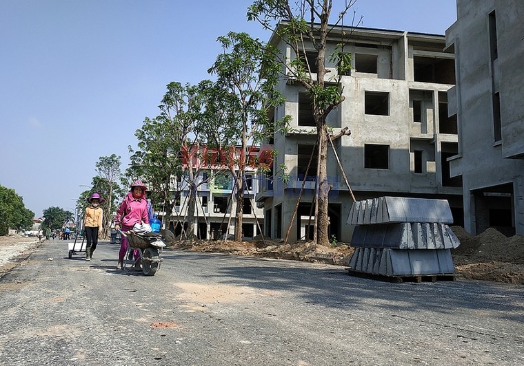 Hưng Yên: Cận cảnh hơn 200 căn biệt thự xây 'chui' tại Dự án Sago Palm Garden ảnh 7