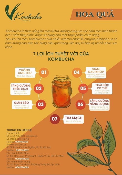 Uống trà VKombucha và nói chuyện về sống khỏe ảnh 2