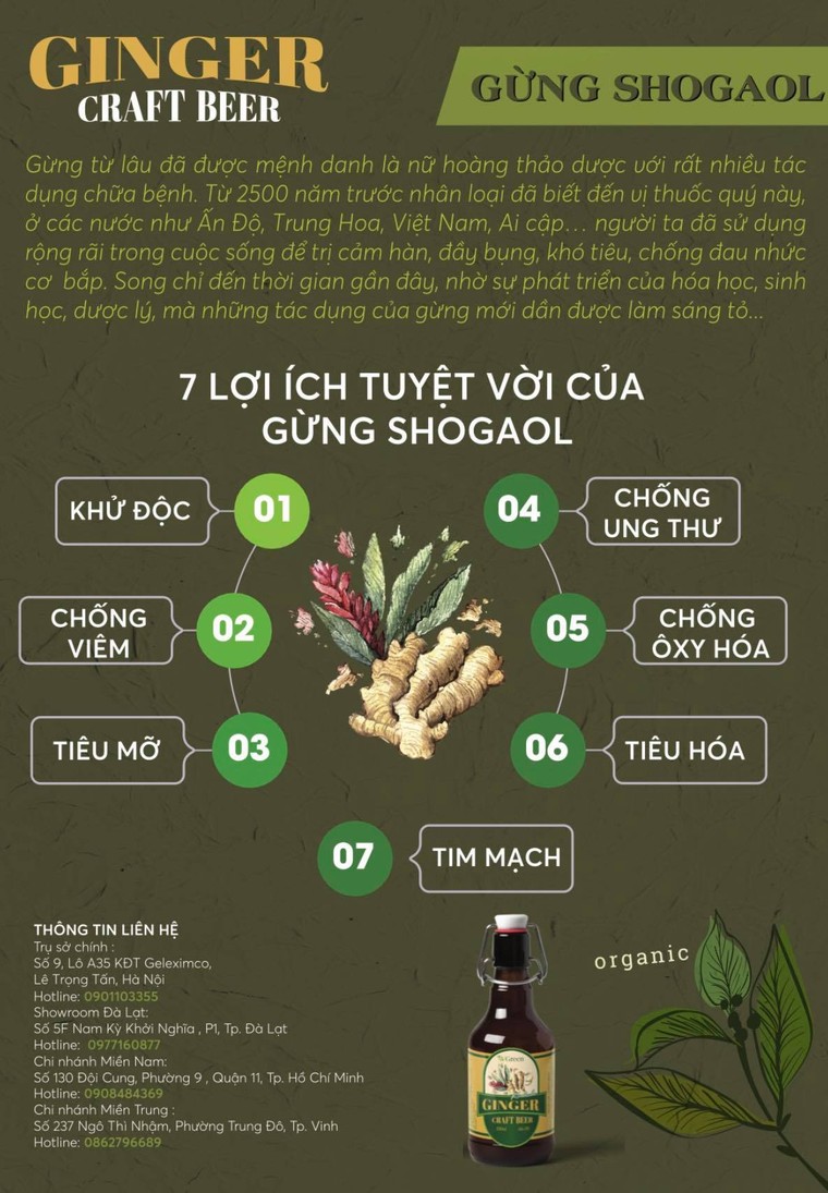 Uống bia thả phanh không sợ… rước bệnh ảnh 2