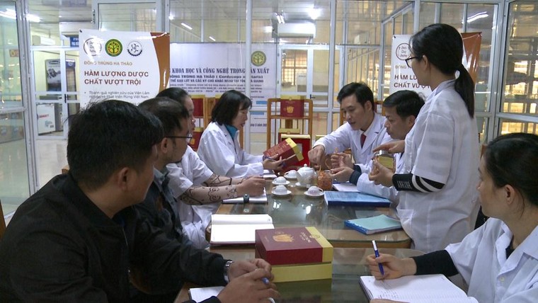 Sản xuất ‘vàng mềm’ nơi rẻo cao ảnh 1