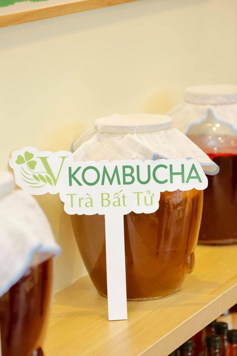 Trà lên men VKombucha- đánh thức tinh hoa trà Thái Nguyên ảnh 3