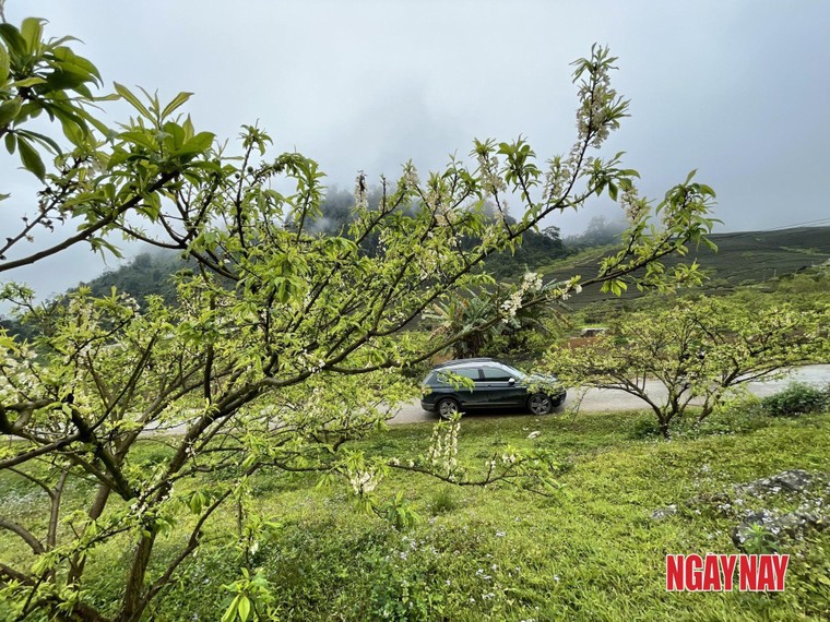 Nhật kí 99 ngày xuyên Việt: Chuẩn bị đồ thế nào cho chuyến solo road trip? ảnh 6