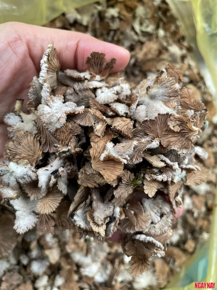 Nhật ký 99 ngày xuyên Việt: Phiên chợ vùng cao mịt mờ trong sương ảnh 2