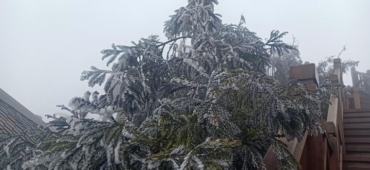 Du khách thích thú ‘săn’ băng trên đỉnh Fansipan ảnh 1