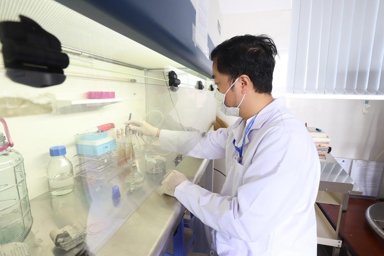 Chọn loại đông trùng hạ thảo nào cho phục hồi sức khỏe ‘hậu Covid-19’? ảnh 2