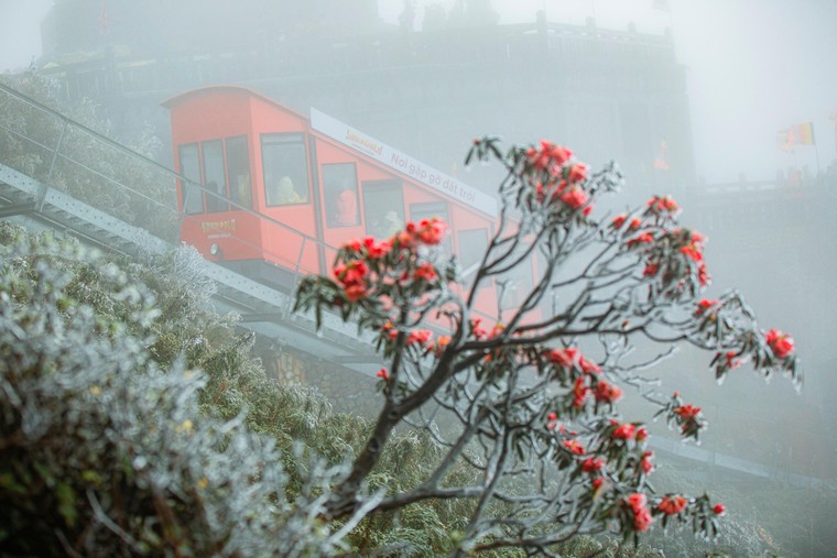 Du khách thích thú ‘săn’ băng trên đỉnh Fansipan ảnh 5