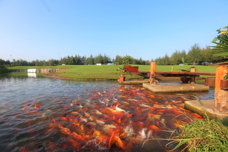 Hội mê golf truyền tai nhau những điểm check-in siêu hot hè này ảnh 1