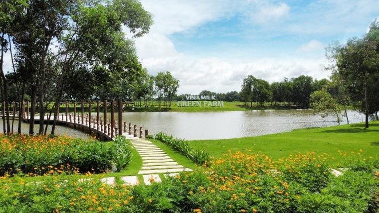 Mô hình phát triển bền vững ‘Vinamilk Green Farm’ được chia sẻ tại Hội nghị sữa toàn cầu ảnh 4