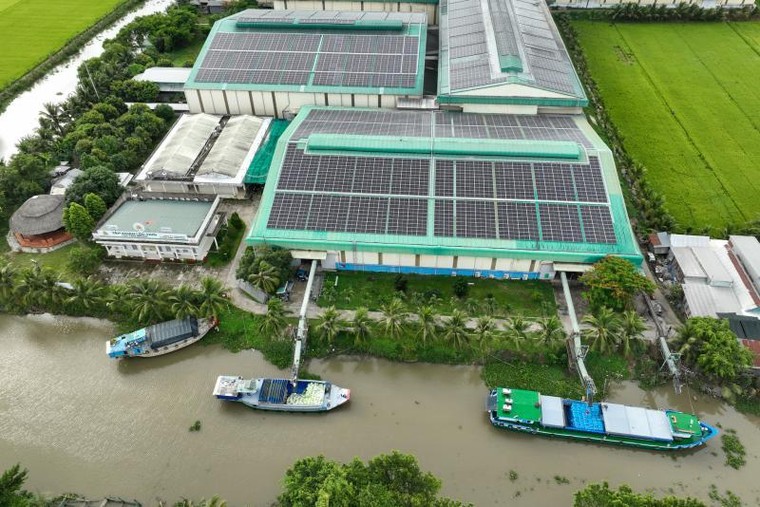 500 tấn gạo 'Cơm Việt Nam Rice' xuất khẩu thành công sang châu Âu ảnh 1