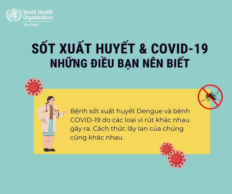 Cách phân biệt sốt xuất huyết và COVID-19 ảnh 1