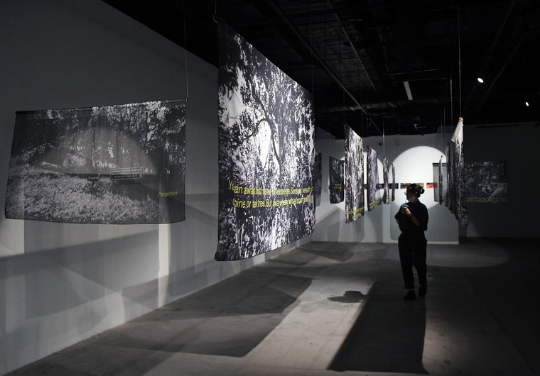 'Tỏa IV' tại VCCA: Cuộc đối thoại của người trẻ với tự nhiên ảnh 11