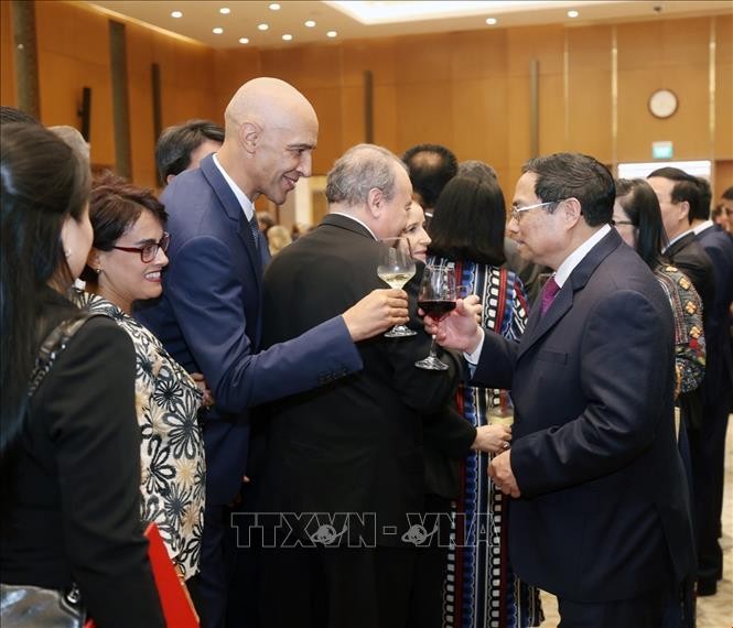 Thủ tướng Phạm Minh Chính và Phu nhân chiêu đãi Đoàn Ngoại giao nhân Tết cổ truyền dân tộc ảnh 1