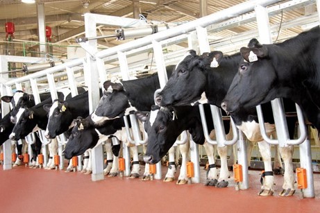 Một thương hiệu quốc gia Việt Nam xanh gây ấn tượng với công ty tư vấn định giá hàng đầu thế giới ảnh 3